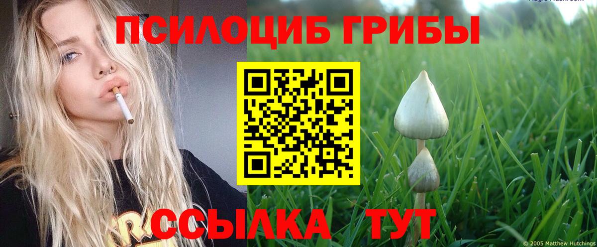 Полевской  Галлюциногенные грибы мицелий  Псилоцибиновые грибы Magic Shrooms  Вход с VPN 